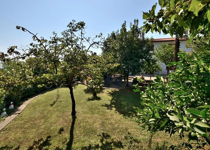 Haldej * Moscenicka Draga