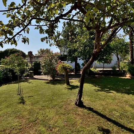 Haldej * Mošćenička Draga